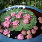 P1060307