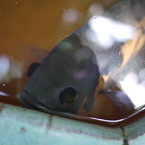 P1060490