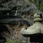 三渓園#8