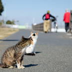 視線の先には……。