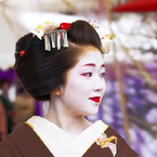 梅苑に、桃一輪