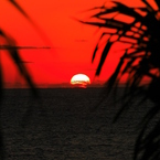 アダン、沈みゆく夕日