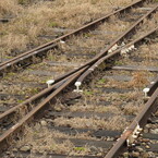 Local Line #３５