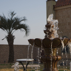 IMGP0621
