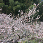IMGP0901