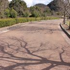 小道のアート