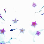 夢か現か