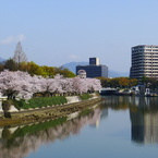 元安川より望む