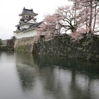 桜城