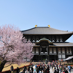 東大寺・大仏殿