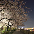 隅田公園