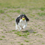 photo_1762370