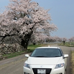 気分爽快♪　庄川桜ロード