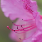 雨の日スポット