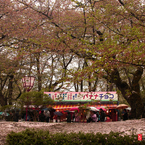 ジュウタン