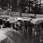 Hirosaki_Sakura08