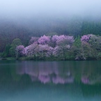 霧と水の狭間