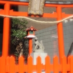 由緒あるお稲荷さん