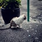 Alone