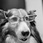 老眼鏡のお年頃