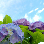 BLUE vs blue