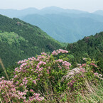 三重の塔