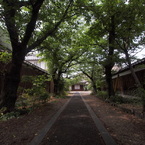 順明寺の道なり