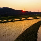 夕景の棚田