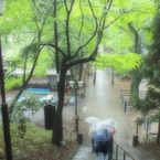 雨の川越より