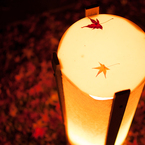 足元の紅葉