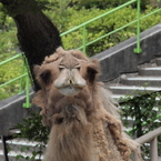 ん？