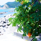 DSC02049