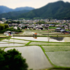 田園風景