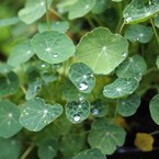 Rainy Day Ⅵ