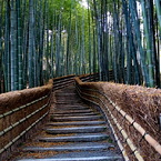 京都の写真集　Photo Gallery of Kyoto, Japan.