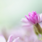 _DSC0914_PH