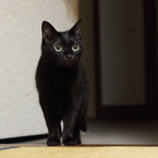 しーん。。。