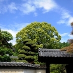 和蝋燭の財