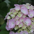 2012.6.24 熊谷市　能護寺
