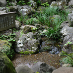 湧く名水（国分寺その６）