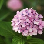 想いで色彩 Ⅶ