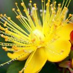IMG_7429a