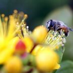 IMG_7439
