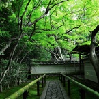 趣