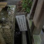 大井神社５