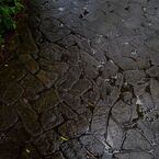 大井神社６