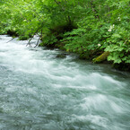 20120713-IMGP2441