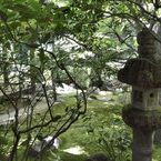 妙心寺（桂春院）＃１