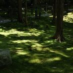 妙心寺（桂春院）＃5
