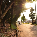 何気ない『道』